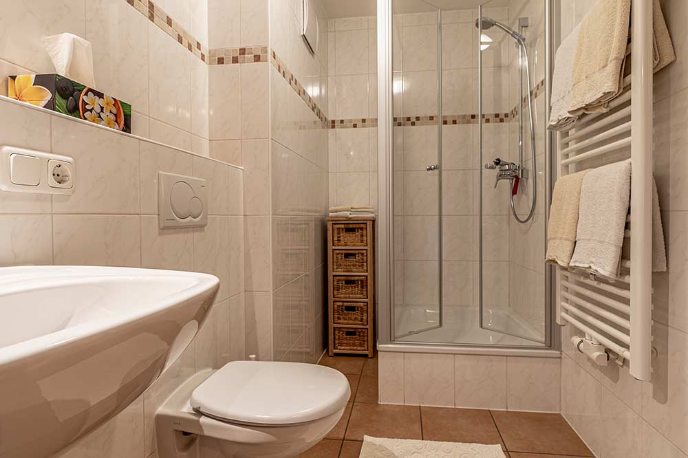 Badezimmer mit Dusche und WC der Ferienwohnung Steinbock
